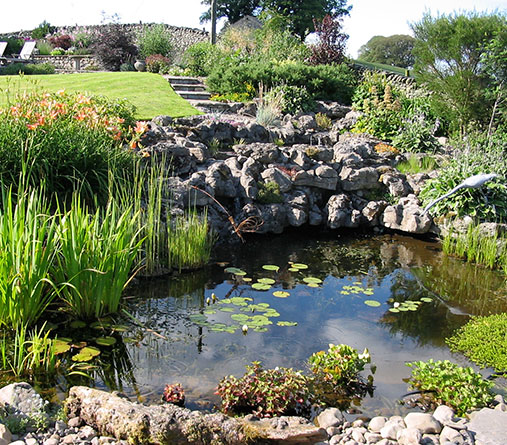 Landscaped pond